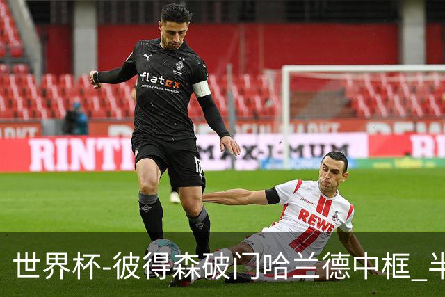 世界杯-彼得森破门哈兰德中框 半场挪威1-0塞内加尔